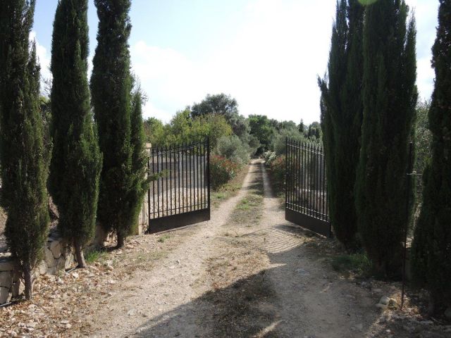 Carola Rudolph Immobilien Online ansehen [Detailansicht -> Finca Sa Punta]